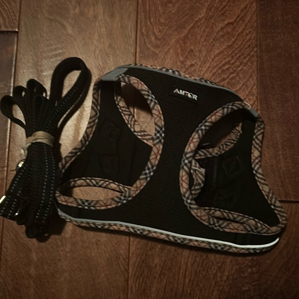 PUPPY HARNESS AND LEASH SET